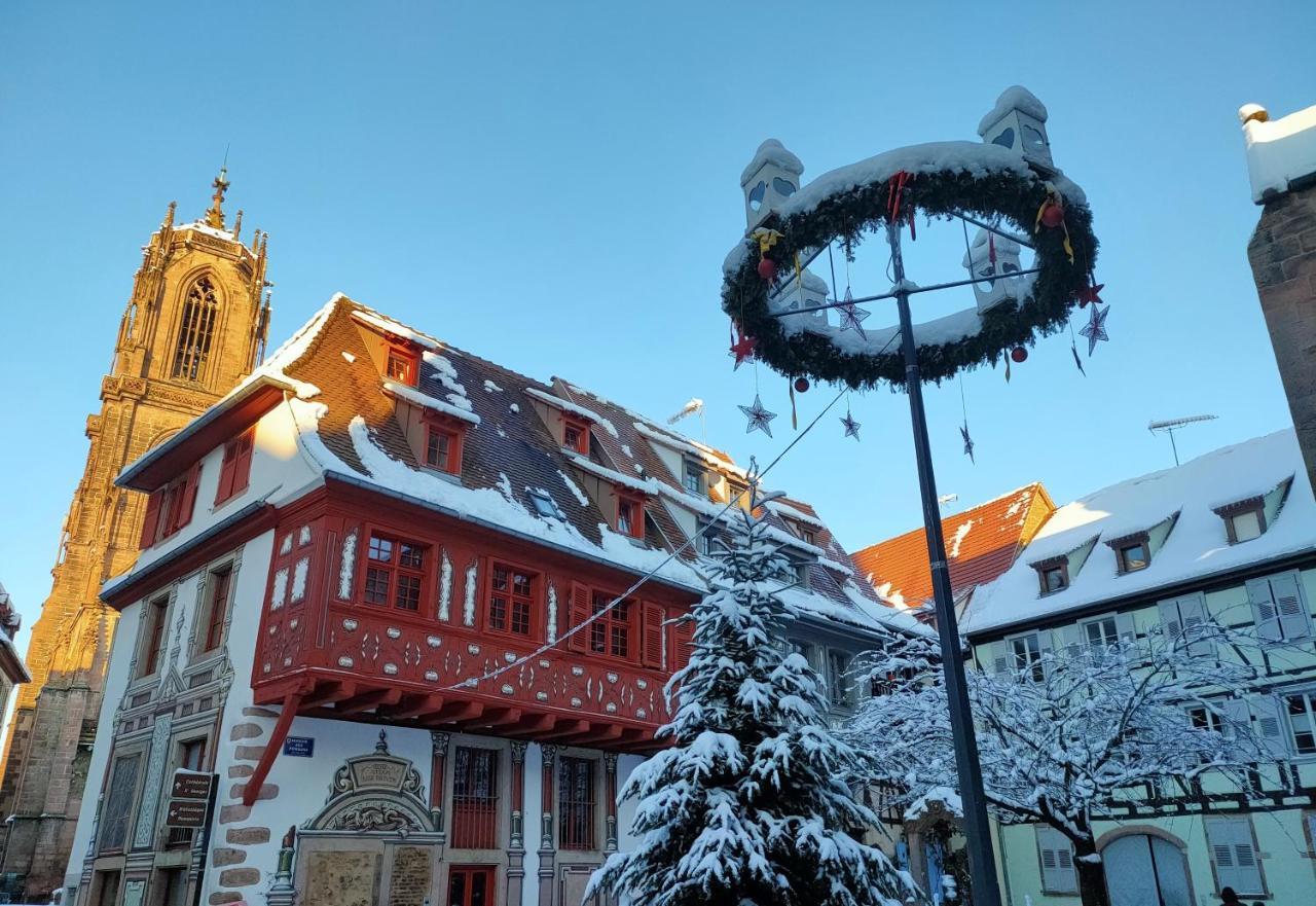 La Maison Bleue, A 20 Mn De Strasbourg, Sur La Route Des Vins, Jusqu'A 6 Personnes, Sélestat Zewnętrze zdjęcie