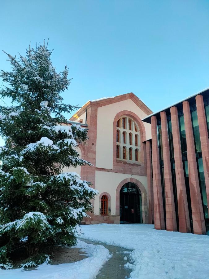 La Maison Bleue, A 20 Mn De Strasbourg, Sur La Route Des Vins, Jusqu'A 6 Personnes, Sélestat Zewnętrze zdjęcie