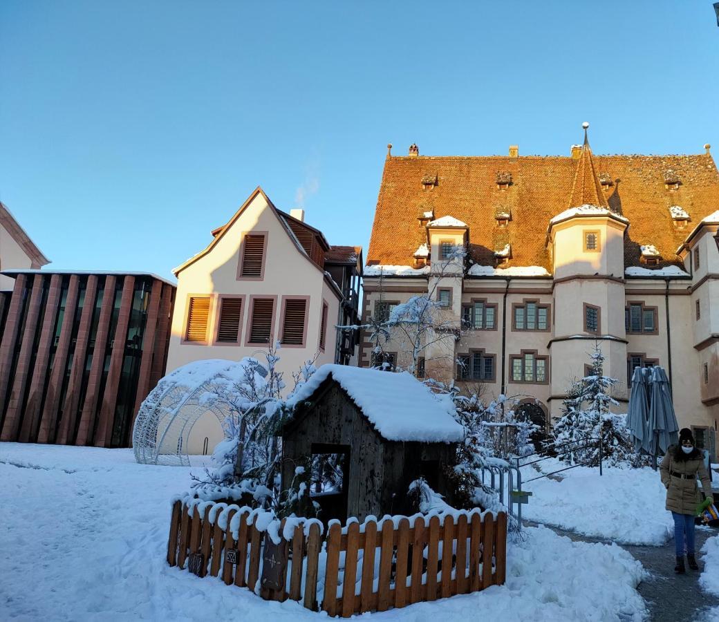 La Maison Bleue, A 20 Mn De Strasbourg, Sur La Route Des Vins, Jusqu'A 6 Personnes, Sélestat Zewnętrze zdjęcie