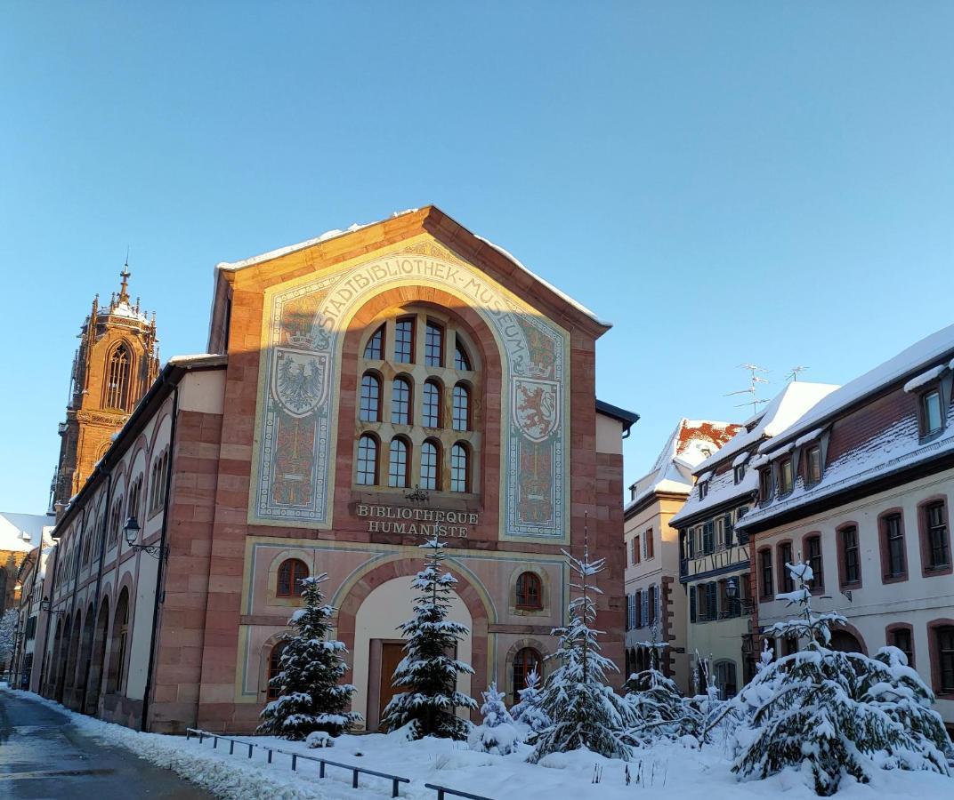 La Maison Bleue, A 20 Mn De Strasbourg, Sur La Route Des Vins, Jusqu'A 6 Personnes, Sélestat Zewnętrze zdjęcie